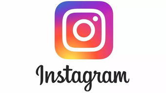 Instagram账号购买入口